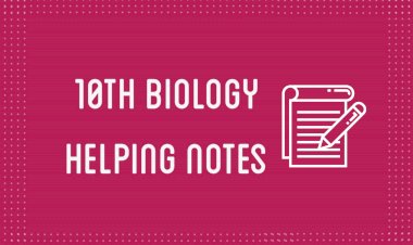 10th Class Biology Helping Notes of All Chapters in PDF
