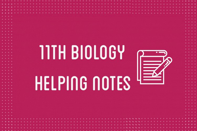 11th Class Biology Helping Notes of All Chapters in PDF - IlmiWeb