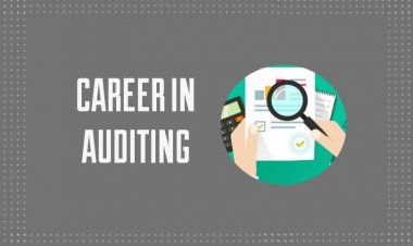 Auditing Career in Pakistan, Job Market, Future, Demand and Scope