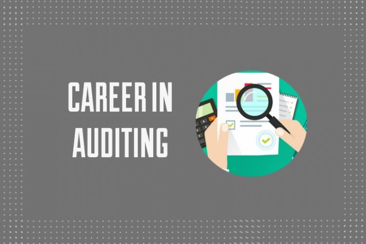 Auditing Career In Pakistan Job Market Future Demand And Scope Ilmiweb