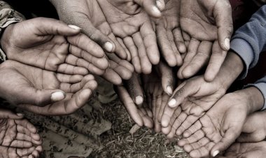 معاشی اشاریے یا عوام کی ضروریات؟۔۔غزالی فاروق