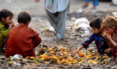 اس بجٹ میں نیا کیا  ہے؟ ۔۔ غزالی فاروق